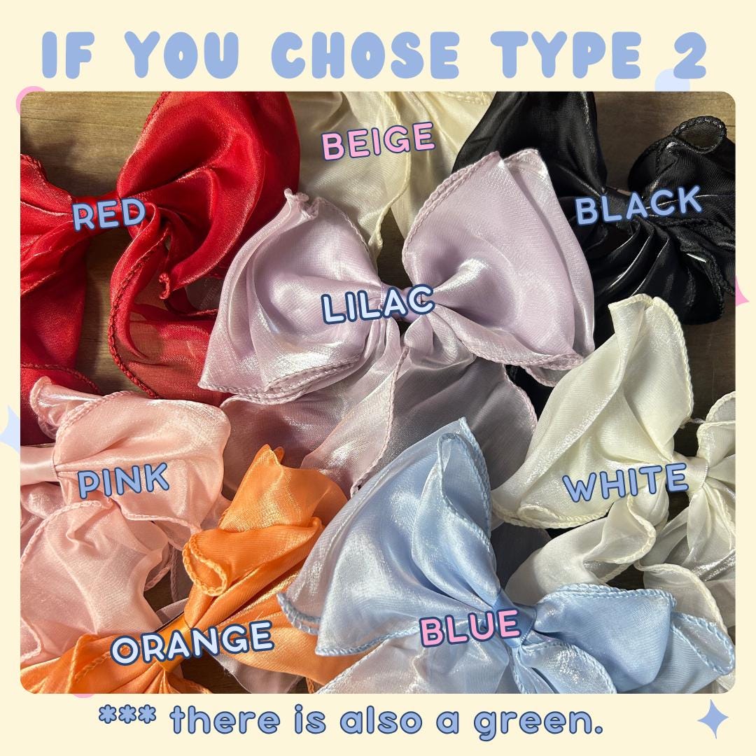A Matter of Time Tour Custom Embroidered Bows, Concerts, Lauvers, Fangirl